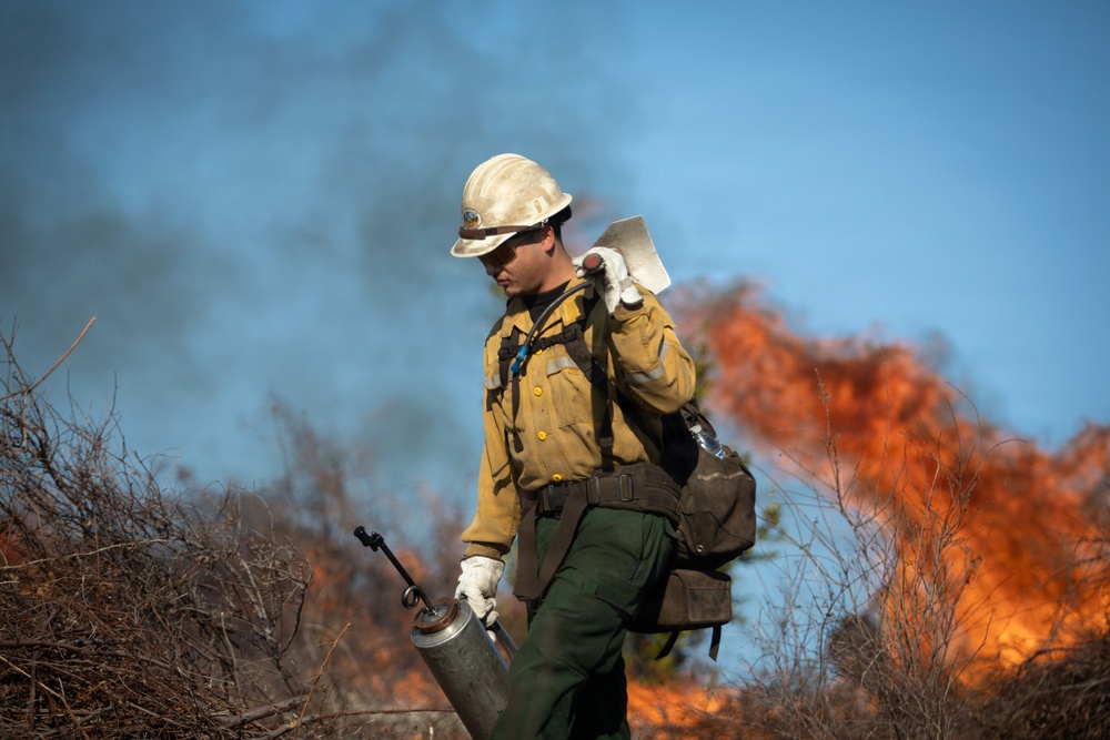 Camp Fire Restoration