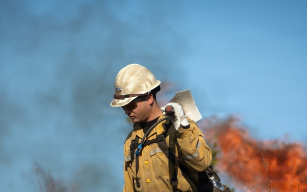 Camp Fire Restoration