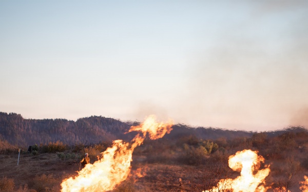 Camp Fire Restoration
