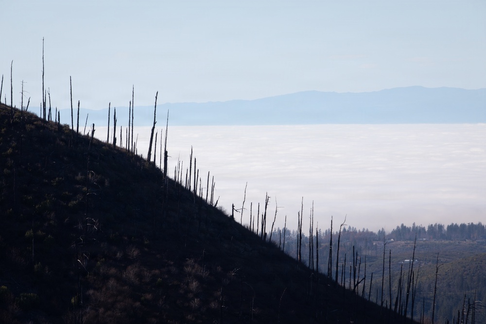 Camp Fire Restoration