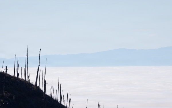 Camp Fire Restoration