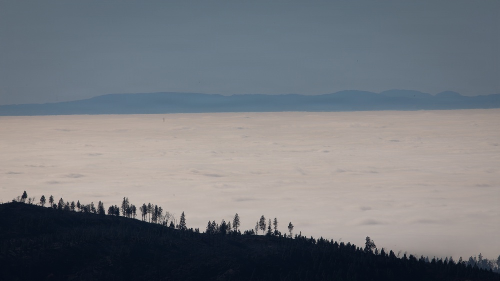 Camp Fire Restoration
