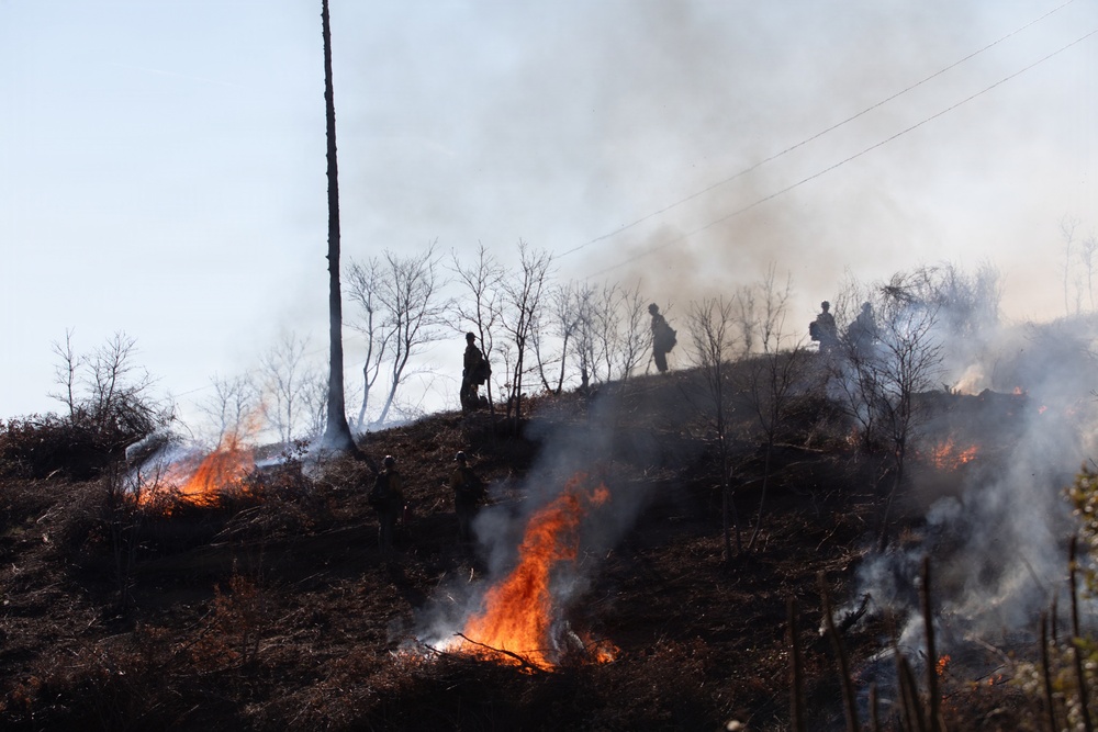 Camp Fire Restoration