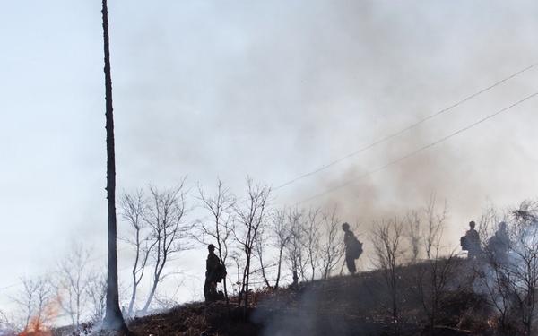 Camp Fire Restoration