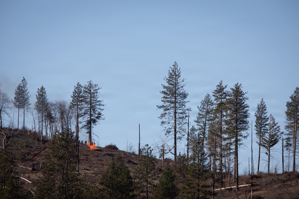 Camp fire Restoration