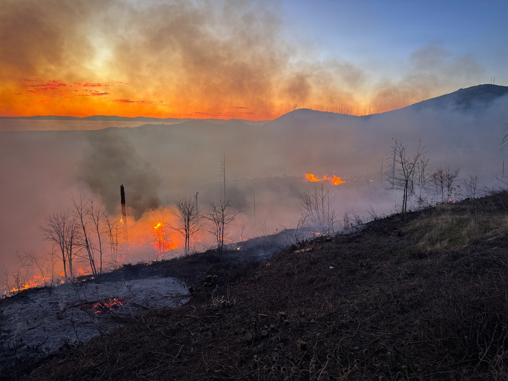 Camp Fire Restoration