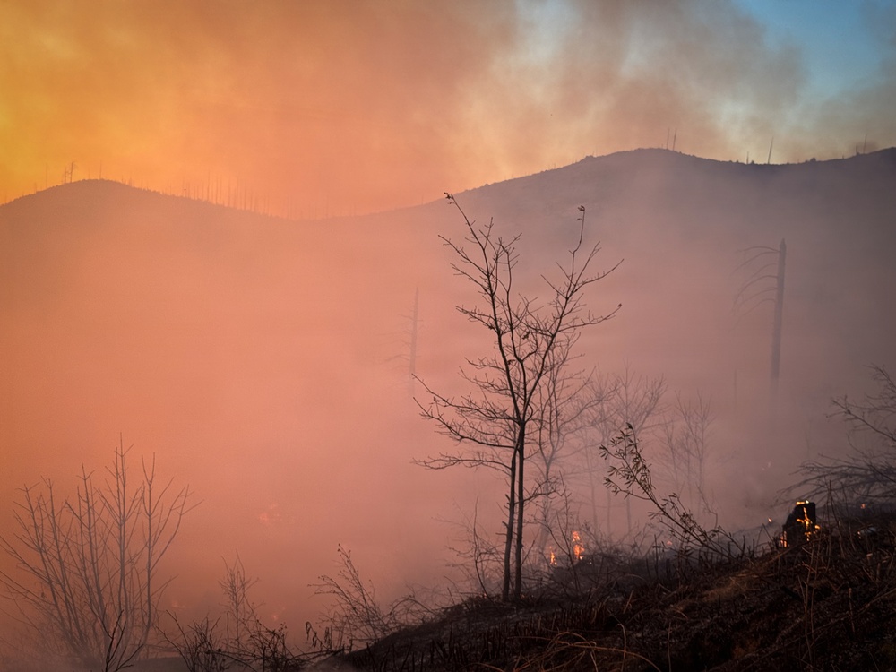 Camp Fire Restoration