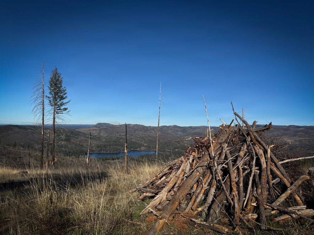 Camp Fire Restoration