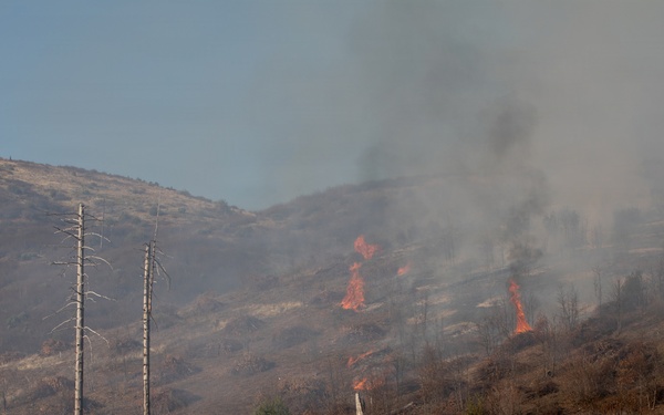 Camp Fire Restoration