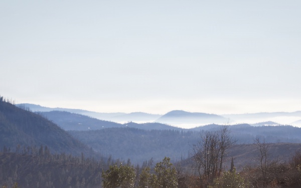 Camp Fire Restoration