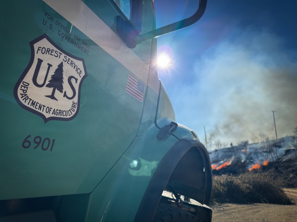 Camp Fire Restoration