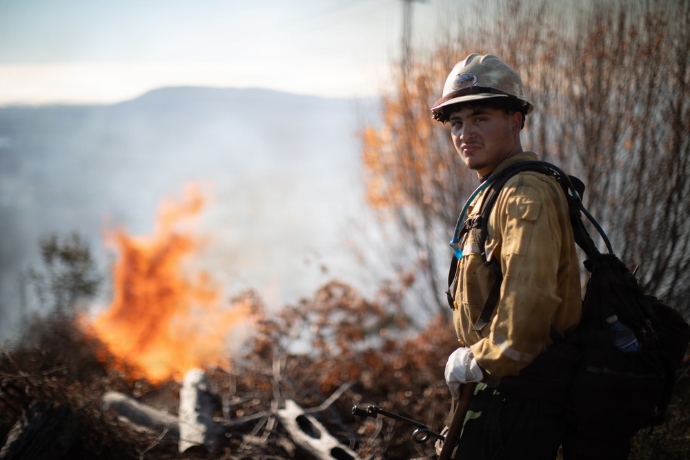 Camp Fire Restoration