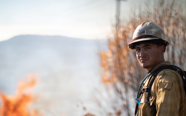 Camp Fire Restoration