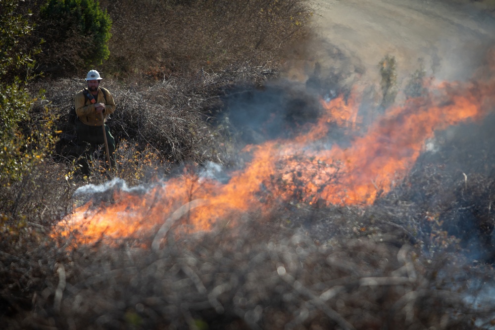 Camp Fire Restoration