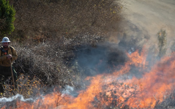 Camp Fire Restoration