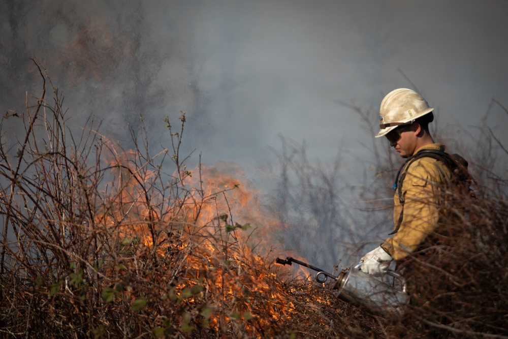 Camp Fire Restoration