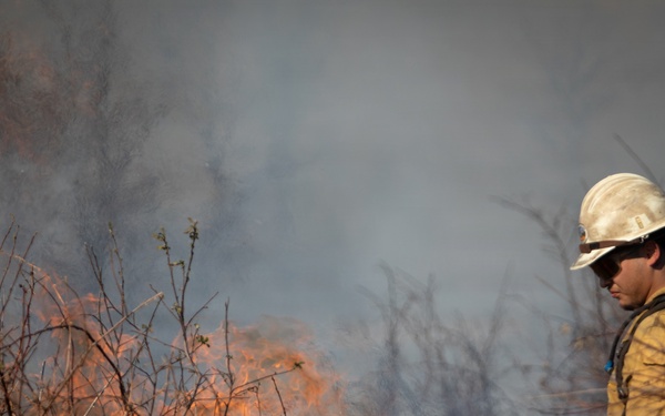 Camp Fire Restoration