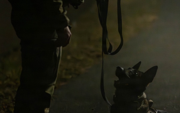 Wolf Pack dominates second day of exercise BEVSENT 26-2