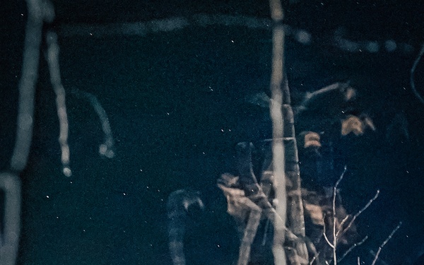 11th Airborne Division Conducts a Lowlight Tactical Airborne Insertion During JPMRC