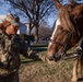 A Joint Task Force Magnolia Soldier feeds a horse while on patrol in Washington, D.C.