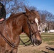 A U.S. Park Police officer patrols on the National Mall in Washington D.C.