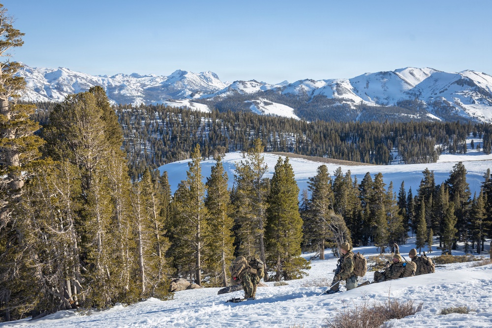 MTX 1-26 | Combat Logistics Battalion 24 Resupply Hike