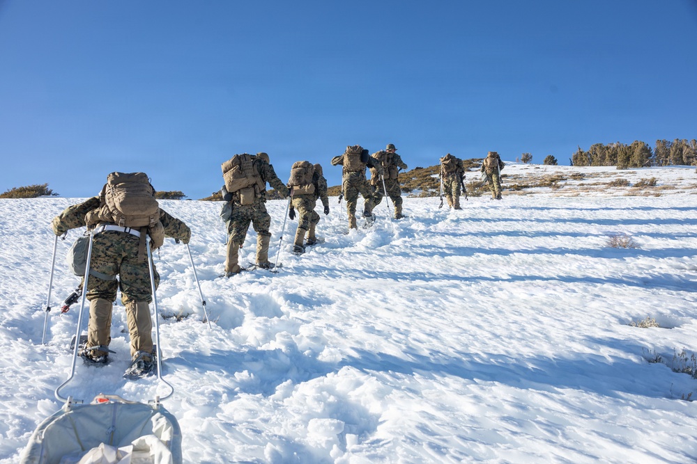 MTX 1-26 | Combat Logistics Battalion 24 Resupply Hike