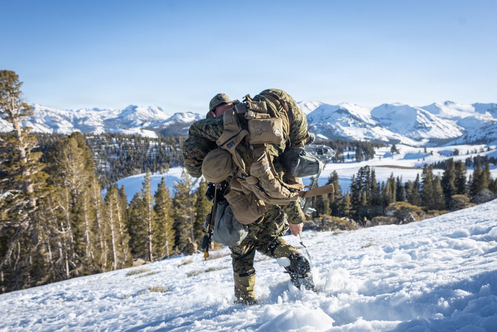 MTX 1-26 | Combat Logistics Battalion 24 Resupply Hike