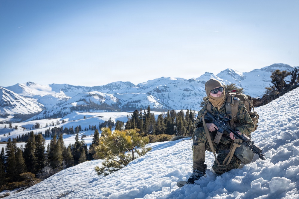 MTX 1-26 | Combat Logistics Battalion 24 Resupply Hike