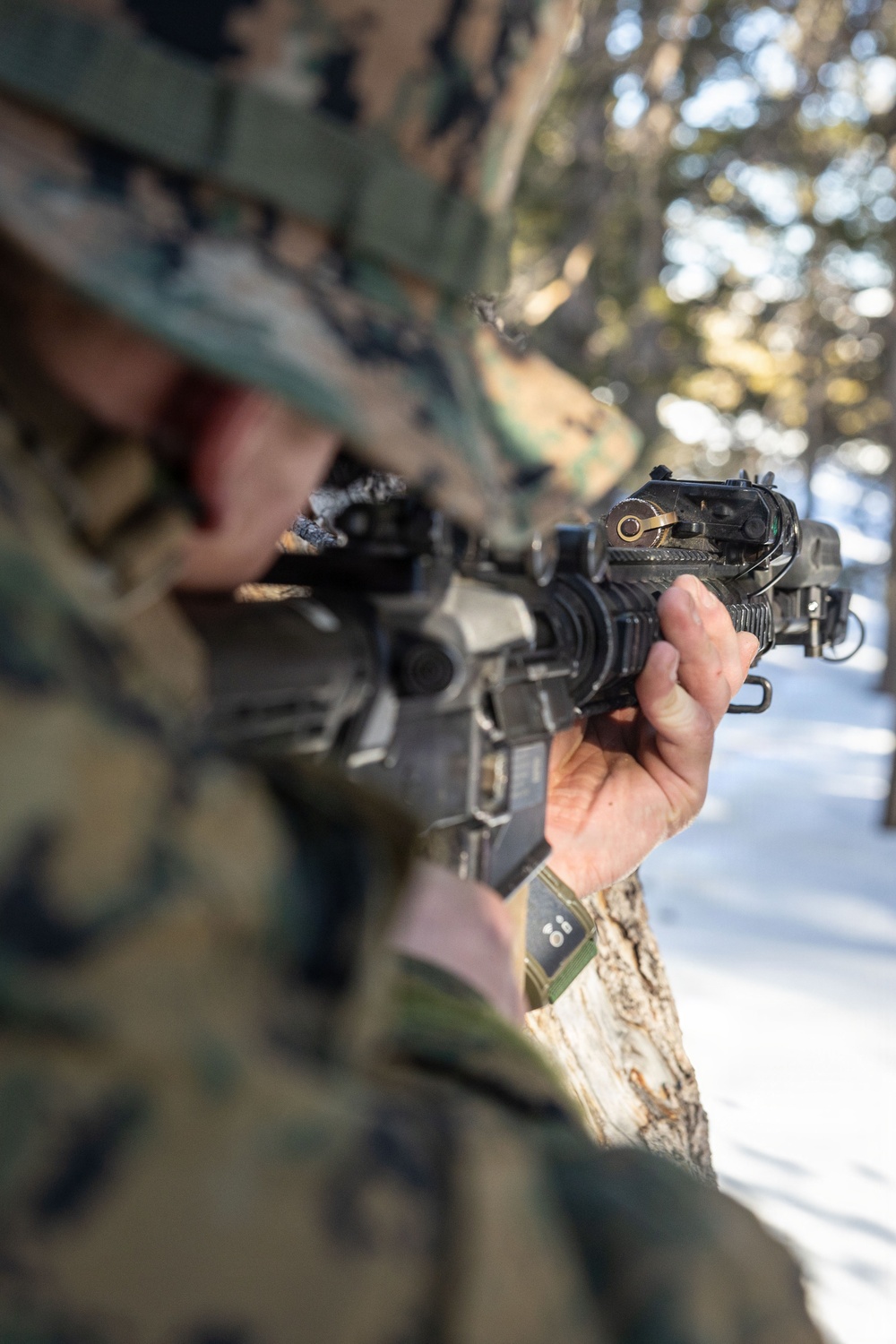 MTX 1-26 | Combat Logistics Battalion 24 Resupply Hike