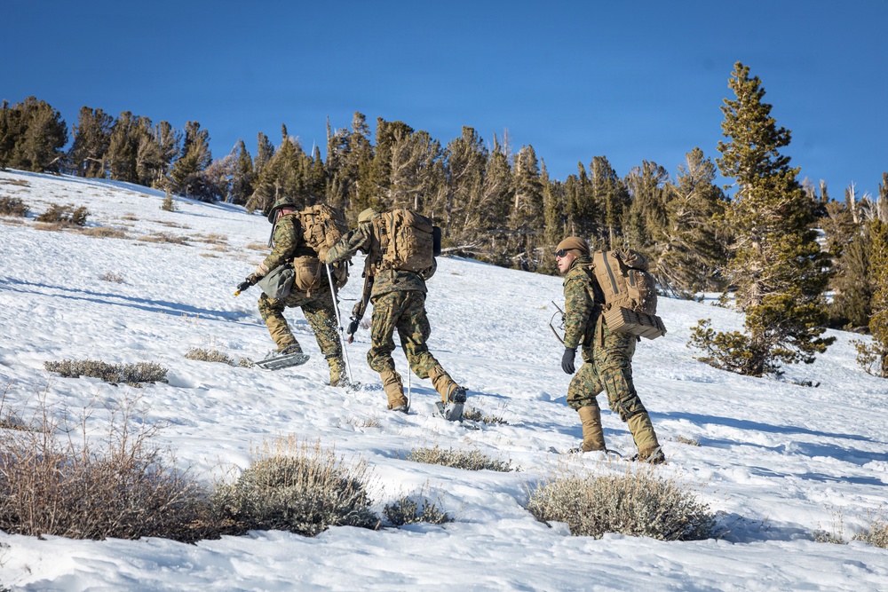 MTX 1-26 | Combat Logistics Battalion 24 Resupply Hike