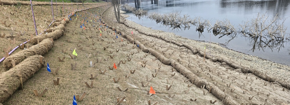 Lower American River Contract 3A Hydroseed