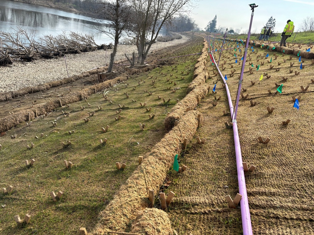 Lower American River Contract 3A Hydroseed