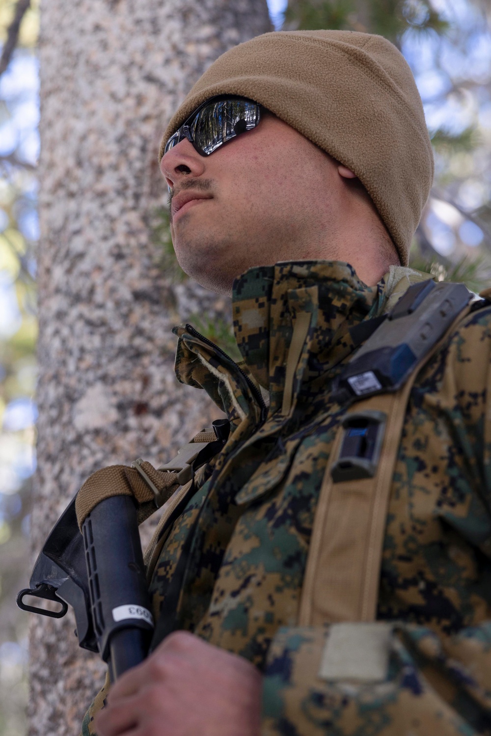 MTX 1-26 | Combat Logistics Battalion 24 Setup Field Lodging