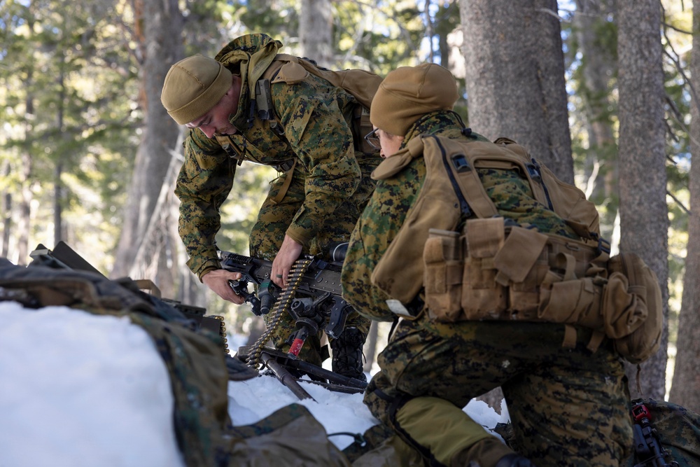 MTX 1-26 | Combat Logistics Battalion 24 Setup Field Lodging
