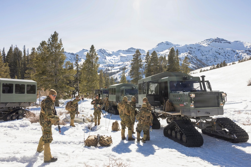 MTX 1-26 | Combat Logistics Battalion 24 Setup Field Lodging