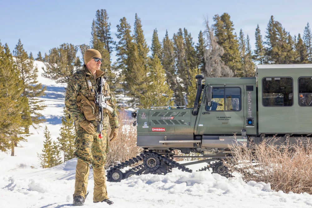 MTX 1-26 | Combat Logistics Battalion 24 Setup Field Lodging