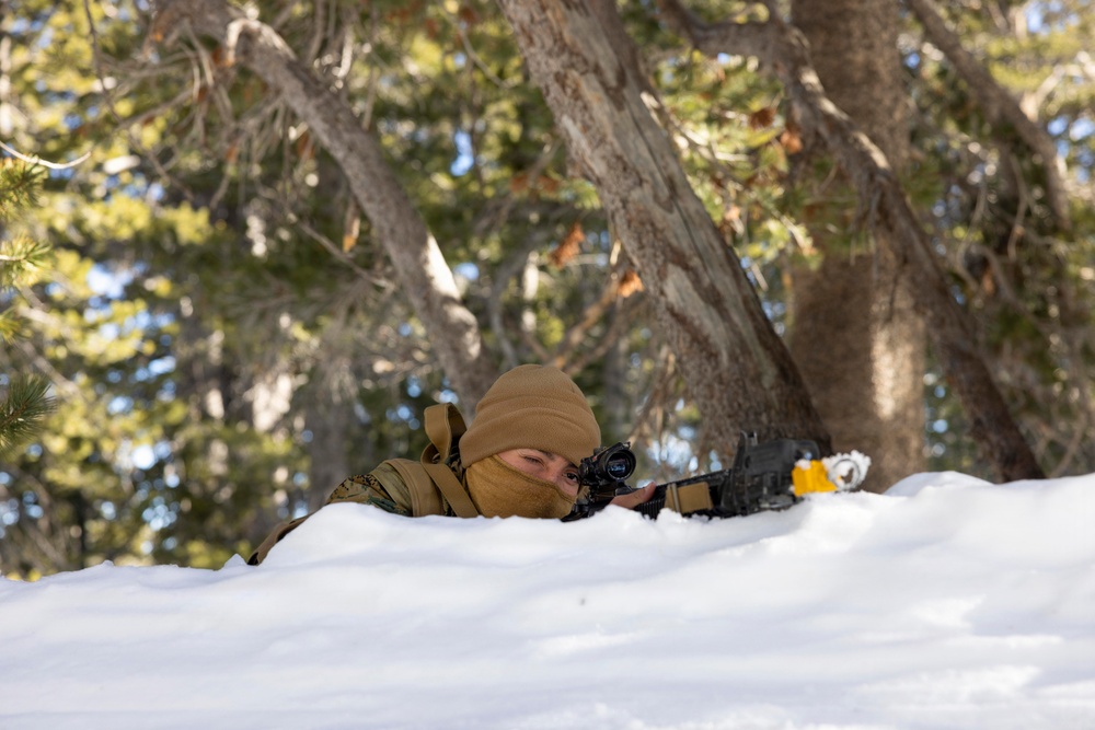 MTX 1-26 | Combat Logistics Battalion 24 Field Convoy