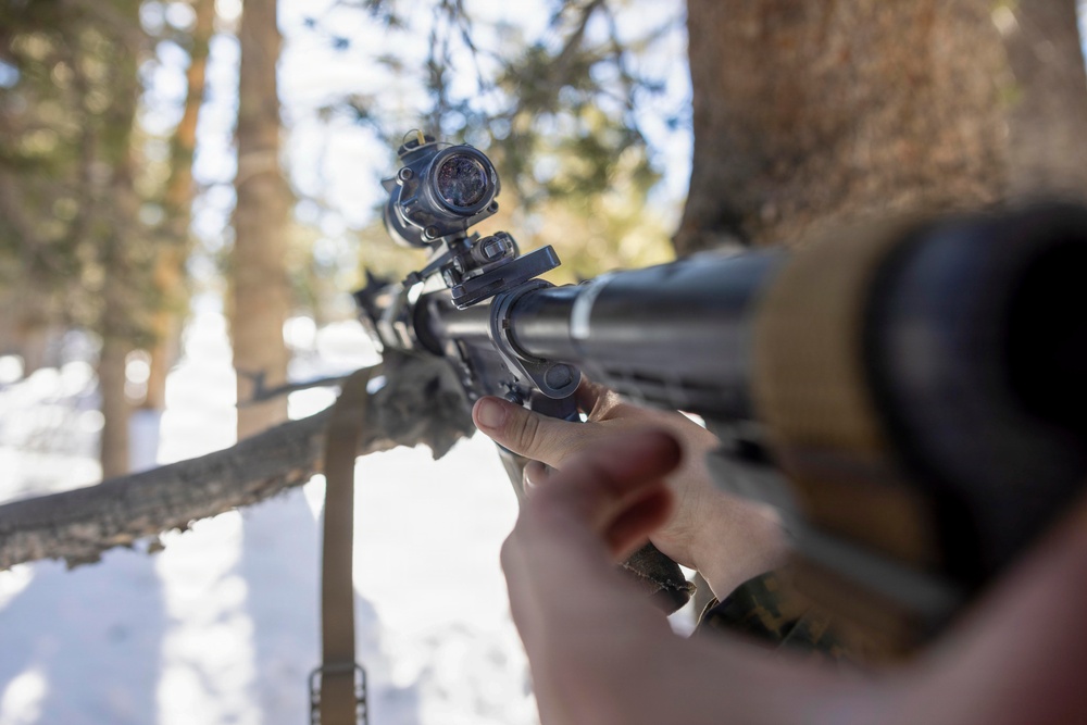 MTX 1-26 | Combat Logistics Battalion 24 Field Convoy