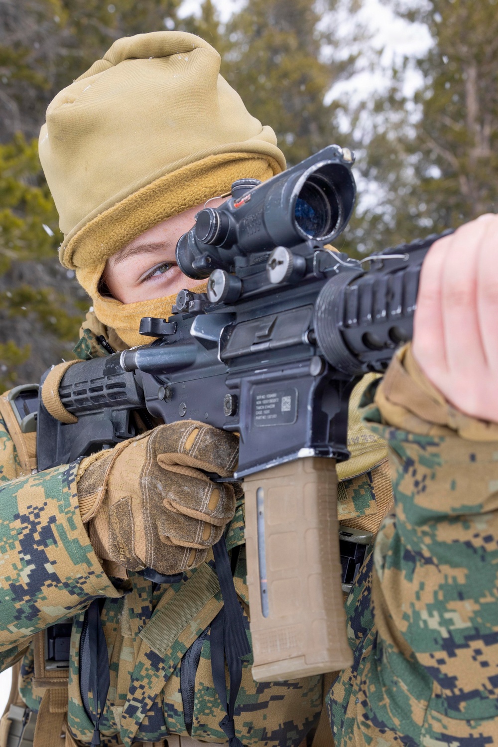 MTX 1-26 | Combat Logistics Battalion 24 Treat Simulated Casualties