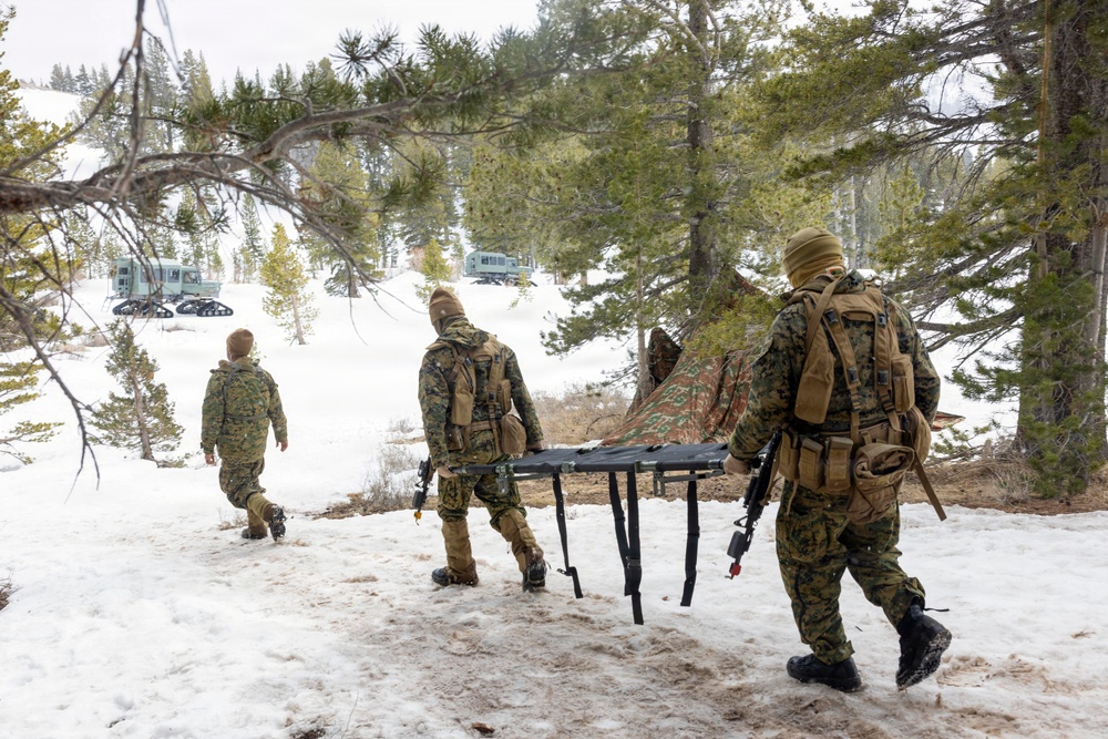 MTX 1-26 | Combat Logistics Battalion 24 Treat Simulated Casualties