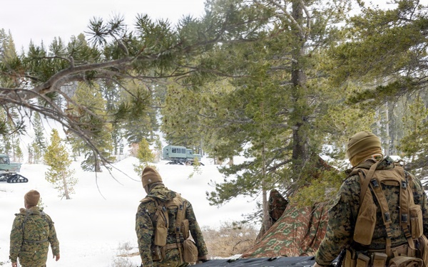 MTX 1-26 | Combat Logistics Battalion 24 Treat Simulated Casualties