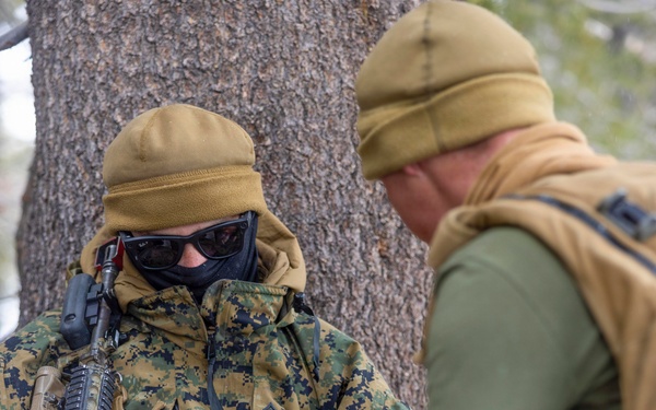 MTX 1-26 | Combat Logistics Battalion 24 Treat Simulated Casualties