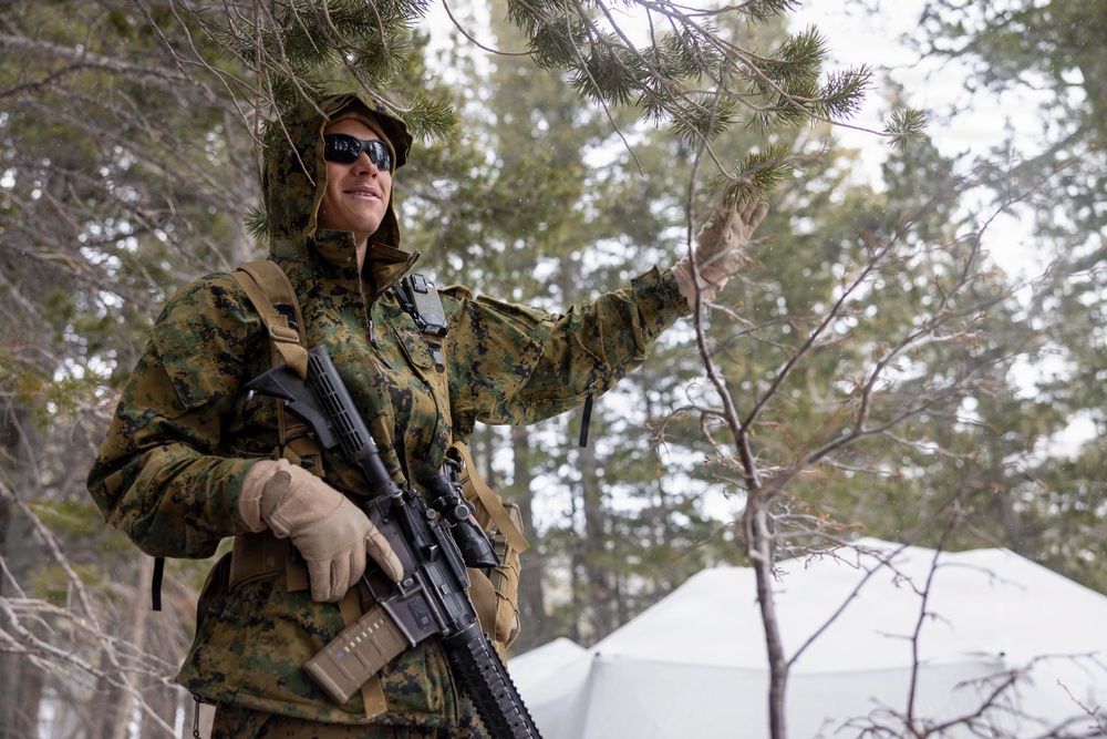 MTX 1-26 | Combat Logistics Battalion 24 Treat Simulated Casualties