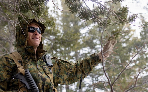 MTX 1-26 | Combat Logistics Battalion 24 Treat Simulated Casualties