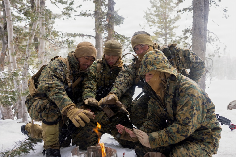 MTX 1-26 | Combat Logistics Battalion 24 Treat Simulated Casualties