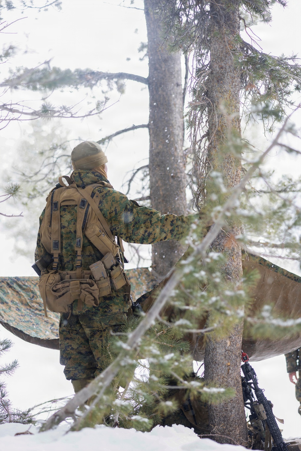 MTX 1-26 | Combat Logistics Battalion 24 Treat Simulated Casualties