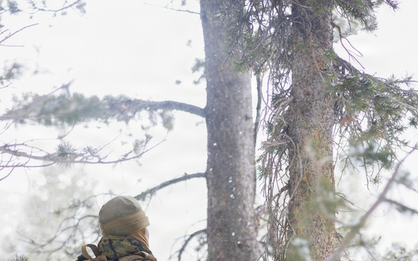 MTX 1-26 | Combat Logistics Battalion 24 Treat Simulated Casualties