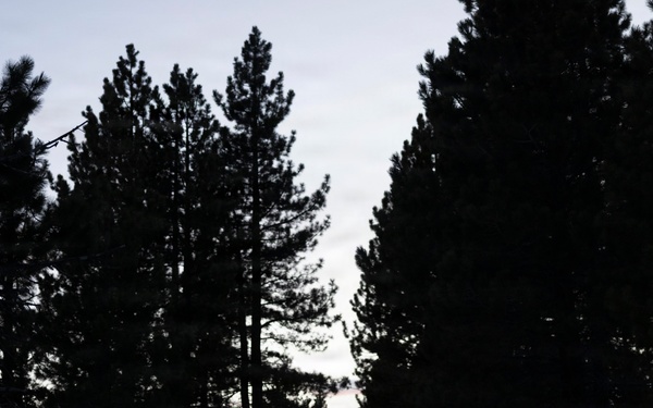 MTX 1-26 | Combat Logistics Battalion 24 Convoy, Resupply