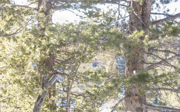 MTX 1-26 | Combat Logistics Battalion 24 Camp Retrograde